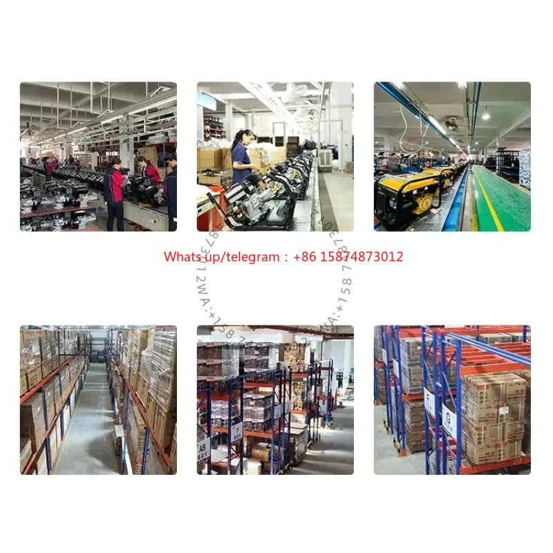 Dual Fuel 5000W 5kw 6.5kva Por - Power Inverter 评论和价格